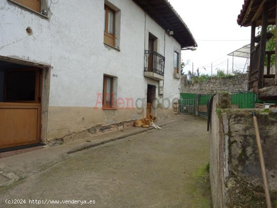 Casa en venta a estrenar en Oviedo (Asturias)