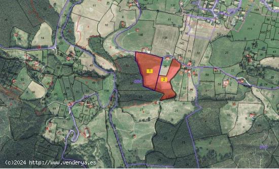  Terreno de 4,6 Hectareas ideal para alguna actividad agricola - CANTABRIA 