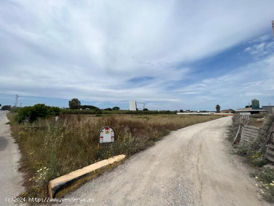  Parcela indivisa registrada. - CADIZ 