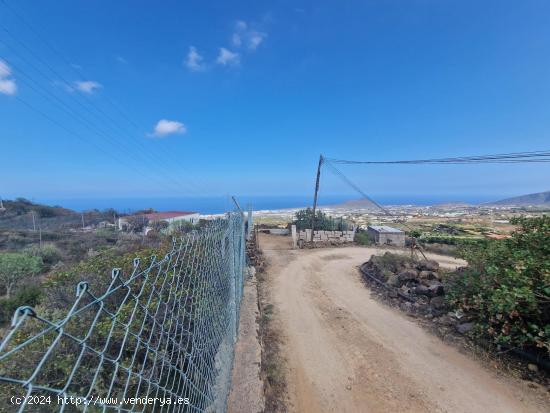 TERRENO RUSTICO AGRARIO MALPAIS - SANTA CRUZ DE TENERIFE