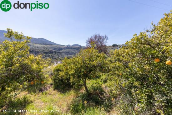 VENTA DE ESTUPENDO TERRENO URBANO EN EL VALLE - GRANADA