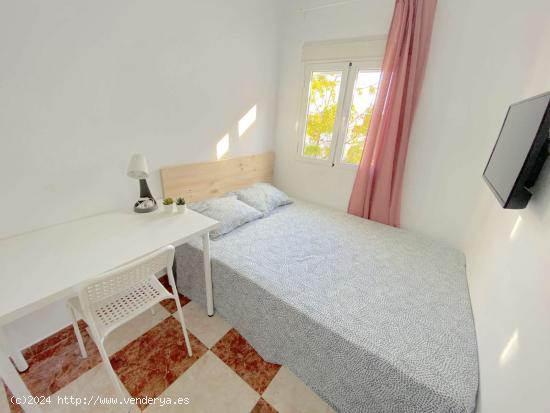  Habitación luminosa con cama de matrimonio, TV y wifi incluidos - SEVILLA 