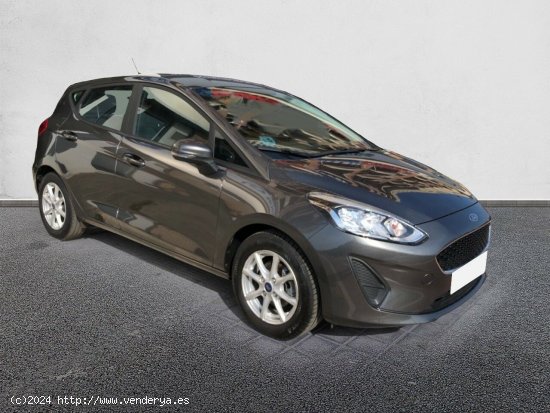  Ford Fiesta 1.1 Ti-VCT 55kW (75CV) Limited Edit. 5p GRIS MAGNETIC - València 