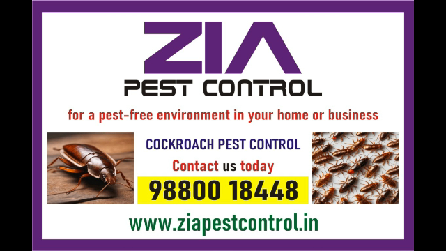  Call Us Today for Pest Free Enviromment  General Pest control service | 1872 