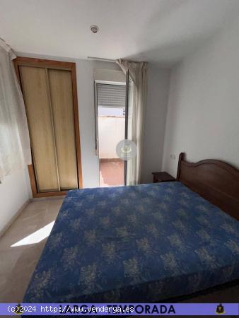 LT / Piso de UN dormitorio en Granada Centro zona Figares - GRANADA