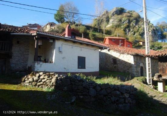 Casa asturiana en Asturias - ASTURIAS