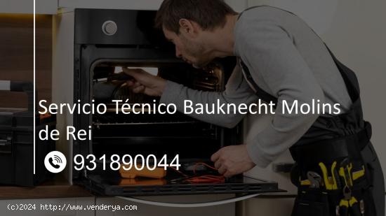  Servicio Técnico Bauknecht Molins de Rei 931890044 