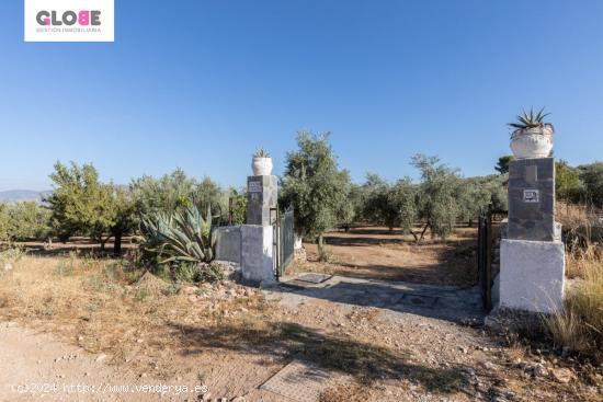  Casa rural con 300 olivos de riego y almendras - GRANADA 