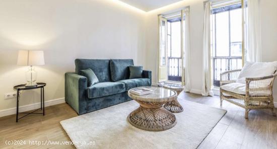  Elegante apartamento de 2 dormitorios en alquiler cerca de la Plaza Mayor en Madrid Centro - MADRID 