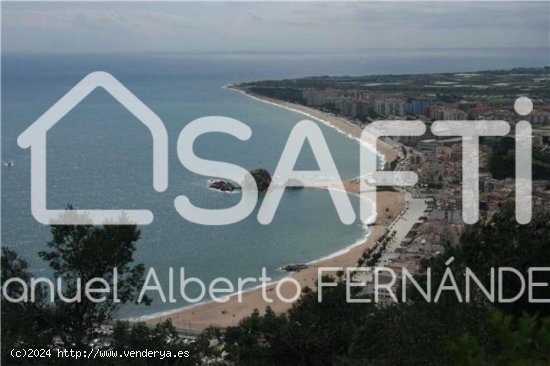 SAFTI España New Inmogroup S.L. les presenta a la venta nave industrial en Blanes, perfectamente pr