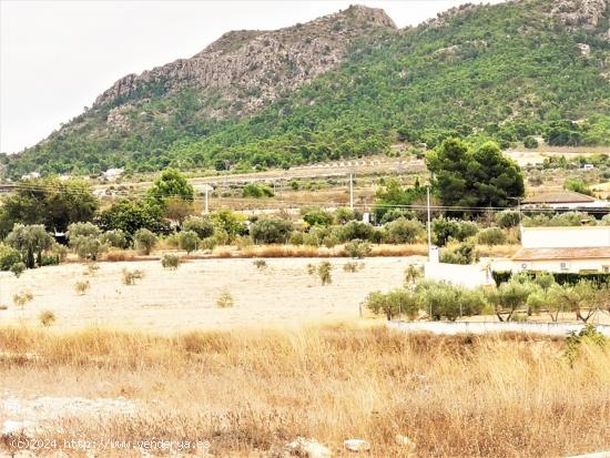 TERRENO URBANIZABLE EN SALINAS ZONA CAMARA BAJA - ALICANTE