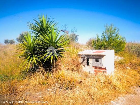 VENTA DE TERRENO RUSTICO EN LAS TORRES DE COTILLAS, ZONA SALADAR, MURCIA - MURCIA