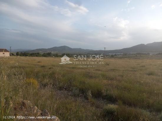 VENTA DE TERRENO RÚSTICO - AGRARIO EN SALINAS, EN PLENA SIERRA - ALICANTE