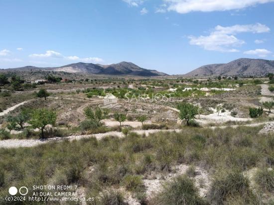 SE VENDE PARCELA EN HONDON DE LAS NIEVES - ALICANTE