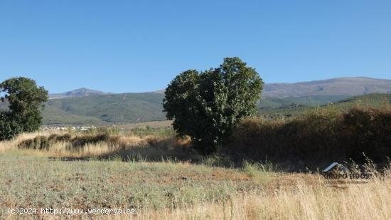 Finca en venta en Jerez del Marquesado - GRANADA