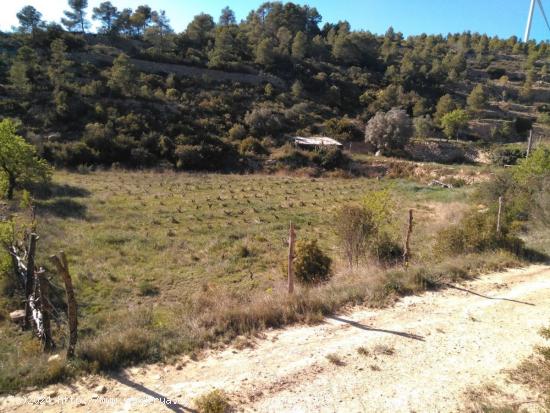 OPORTUNIDAD FINCA RUSTICA EN CORBERA D´EBRE CON PEQUEÑA CONSTRUCCION. - TARRAGONA