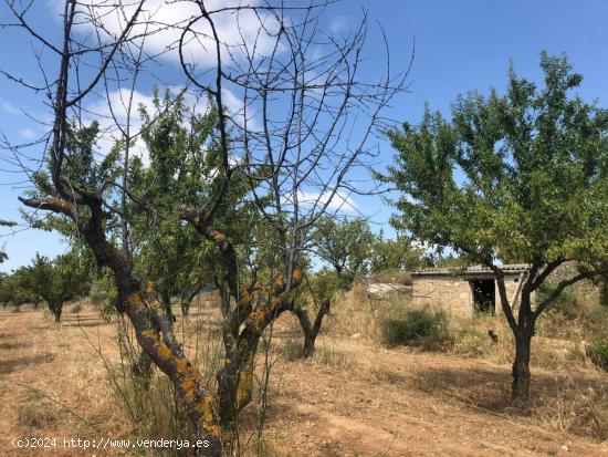 FINCA RUSTICA EN BOT CON MASIA DE PIEDRA - TARRAGONA