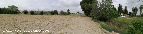  Se vende terreno rustico en Patiño - MURCIA 