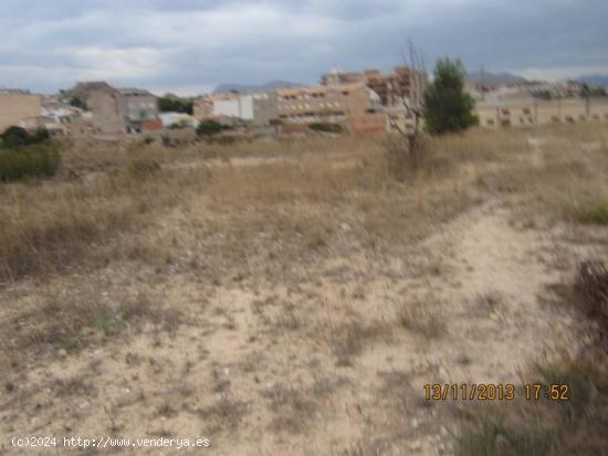 12000 METROS DE TERRENO RUSTICO EN CANTARRANES - ALICANTE