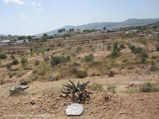 TERRENO RUSTICO - ALICANTE