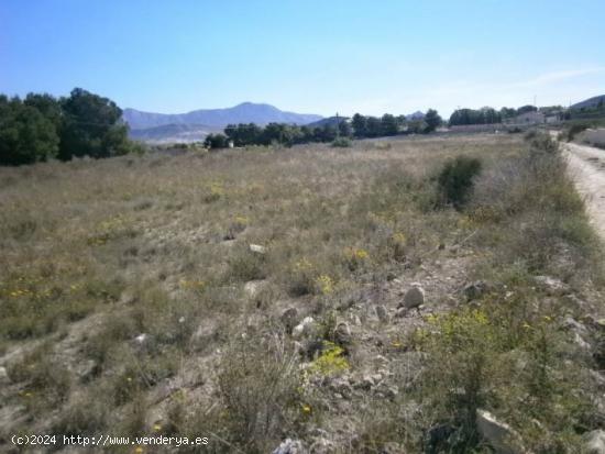 TERRENO RUSTICO EN MUY BUENA ZONA - ALICANTE