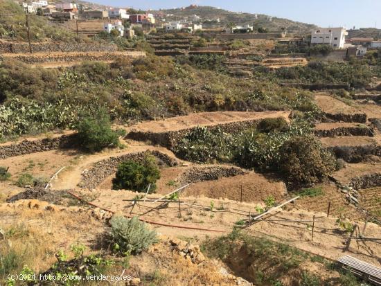  Terreno en el Esobonal - SANTA CRUZ DE TENERIFE 