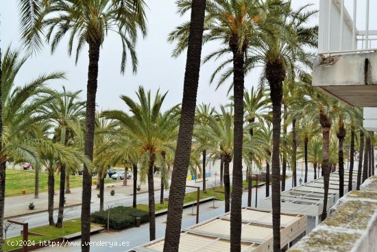  RESTAURANTE EN EL PASEO MARITIMO - BARCELONA 