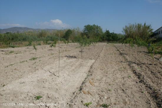 Terreno en Camí La Font - Ontinyent - VALENCIA