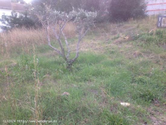 TERRENO EN BARONIA DE MAR - TARRAGONA