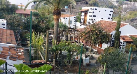  Casa canaria con terreno en municipio de Guia de Isora, medianías, cerca autopista. - SANTA CRUZ DE 