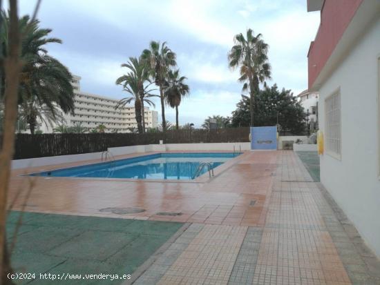 Playa Americas. Piso 1 habitacion en complejo cerrado con piscina - SANTA CRUZ DE TENERIFE