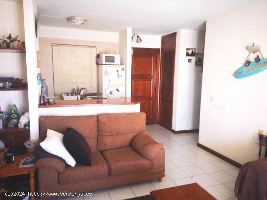 Adeje. San Eugenio piso 1 habitacion en urbanizacion cerrada de calidad. - SANTA CRUZ DE TENERIFE