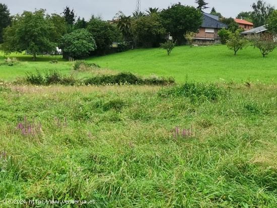 TERRENO URBANIZABLE EN SOBARZO - CANTABRIA