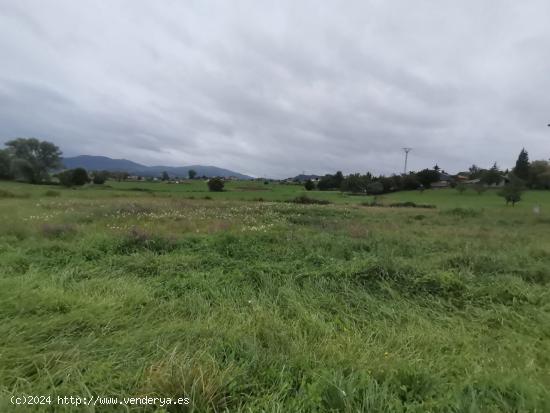 TERRENO URBANIZABLE EN SOBARZO - CANTABRIA