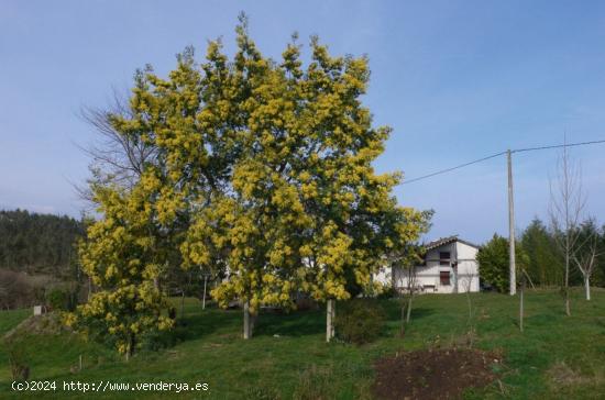 Casa y cuadras para restaurar en Finca de 114.919 m2 - CANTABRIA