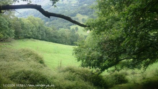 casa en ruina con terreno. - CANTABRIA