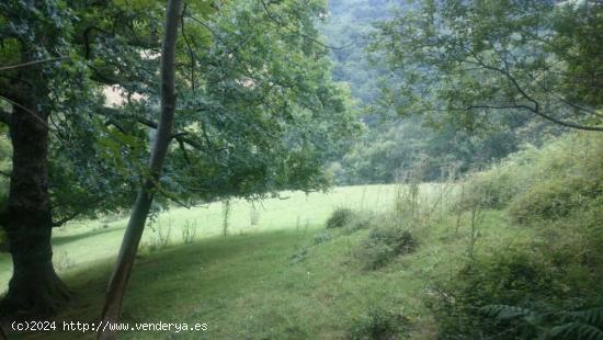 casa en ruina con terreno. - CANTABRIA