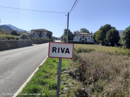 TERRENO EN RIVA DE RUESGA. - CANTABRIA