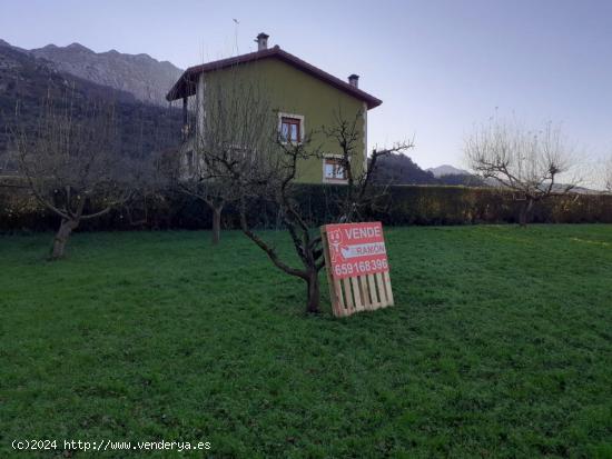 TERRENO EN RIVA DE RUESGA. - CANTABRIA