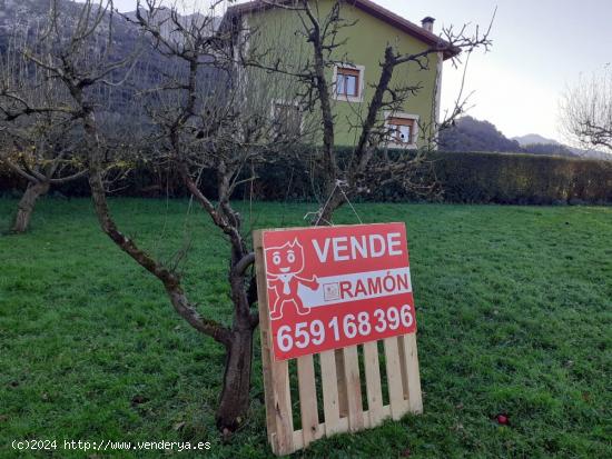 TERRENO EN RIVA DE RUESGA. - CANTABRIA