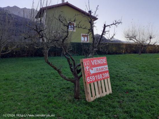 TERRENO EN RIVA DE RUESGA. - CANTABRIA