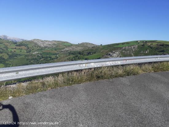 SE VENDE FINCA RUSTICA DE 14,000 METROS CON CABAÑA, - CANTABRIA