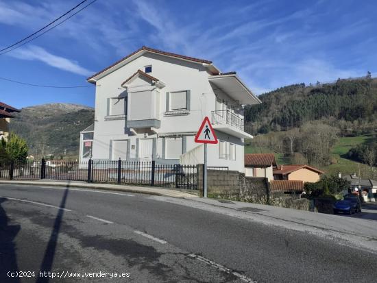 CASA CON TERRENO EN ARREDONDO (CANTABRIA) - CANTABRIA