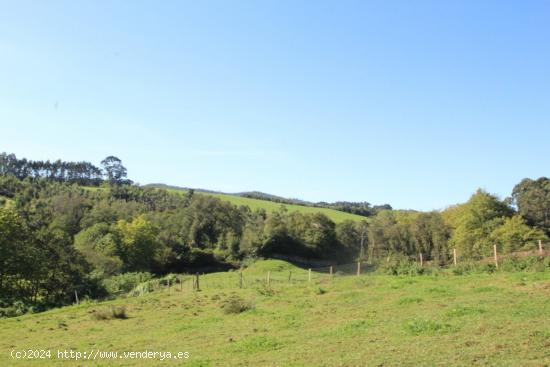 FINCA RÚSTICA CON VISTAS DESPEJADAS - CANTABRIA