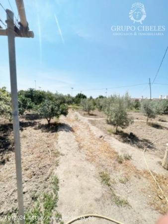 Se vende cortijo en Pechina - ALMERIA