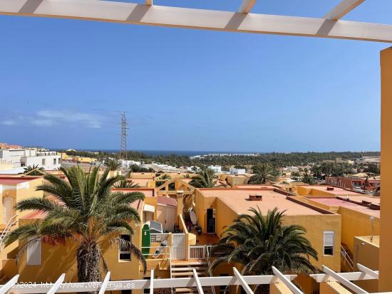  Venta complejo de apartamentos Costa Calma - LAS PALMAS 