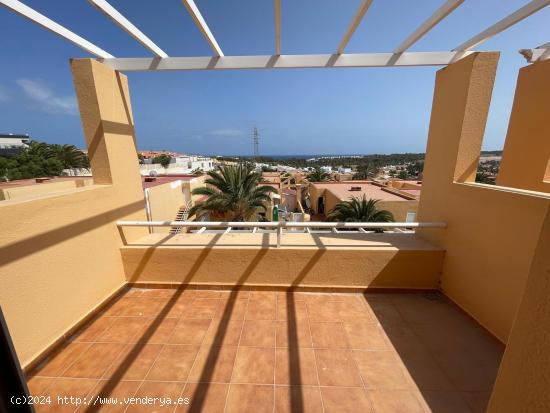 Venta complejo de apartamentos Costa Calma - LAS PALMAS