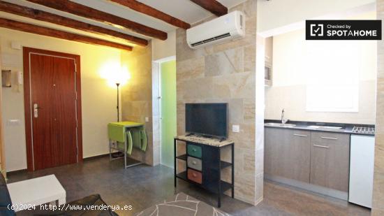 Elegante apartamento de 1 dormitorio en alquiler en El Raval - BARCELONA