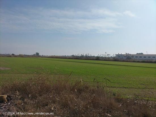 CASA DE CAMPO (LA CALERA CALLASO DE SEGURA) - ALICANTE