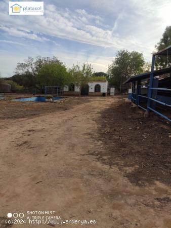 Finca rústica en Alcalá de Guadaira -Sevilla, con diferentes construcciones - SEVILLA